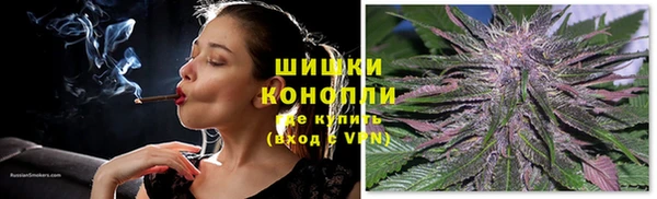 мдпв Михайлов