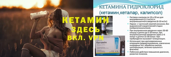 шишки Надым