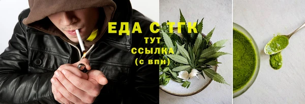 шишки Надым
