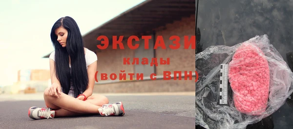 шишки Надым