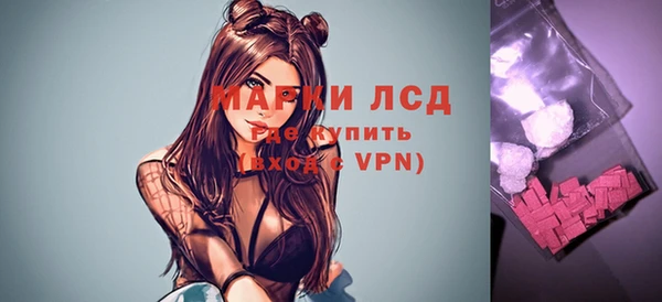 шишки Надым