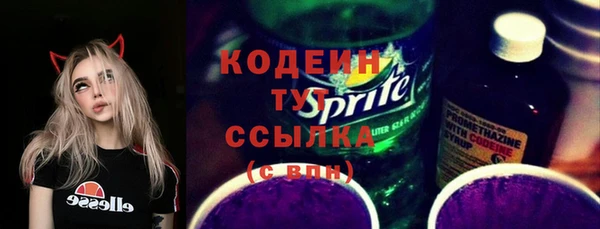 шишки Надым