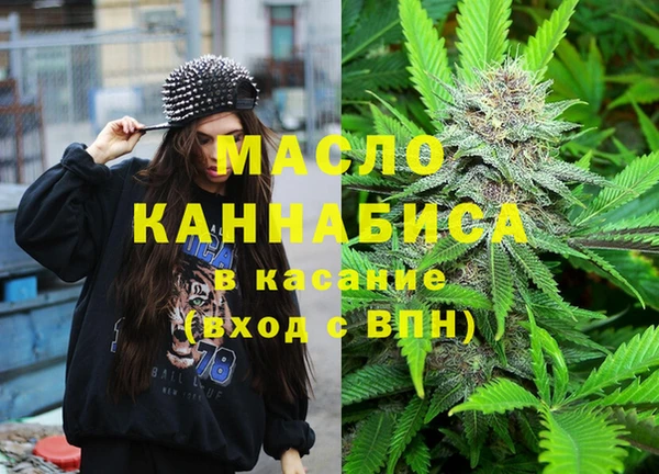 шишки Надым