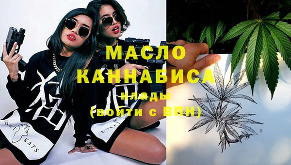 шишки Надым