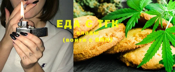 шишки Надым
