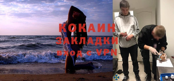 шишки Надым