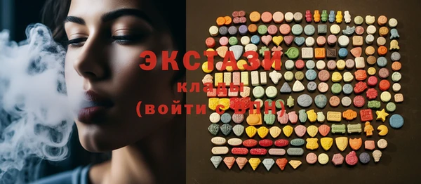 шишки Надым