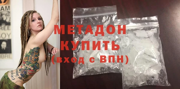 шишки Надым