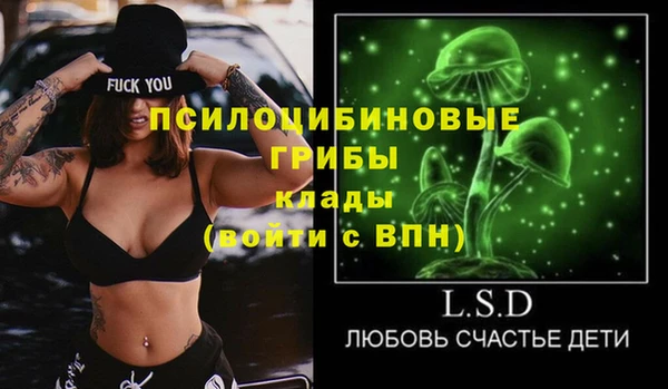 шишки Надым