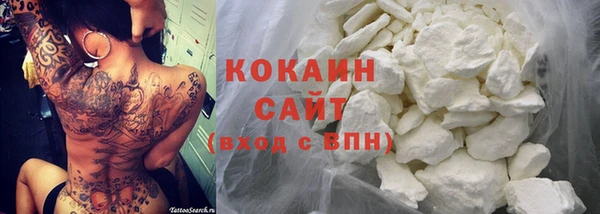 шишки Надым