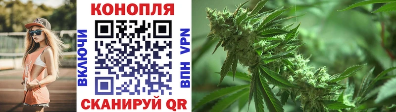 что такое   Нариманов  МАРИХУАНА SATIVA & INDICA 